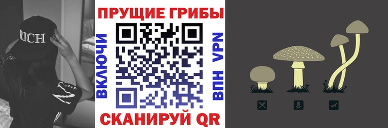Псилоцибиновые грибы ЛСД  Сатка 